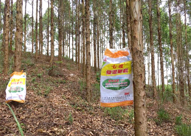 马山县周鹿镇