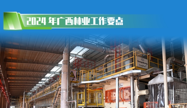 2024年广西林业工作这样干...