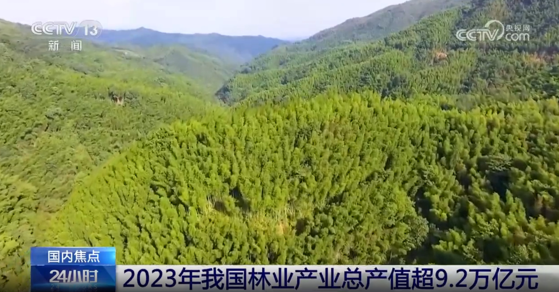 我国林业产业总产值超过9.2万亿元