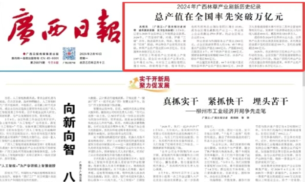 2024年广西林草产业刷新历史纪录 总产值在全国率先突破万亿元