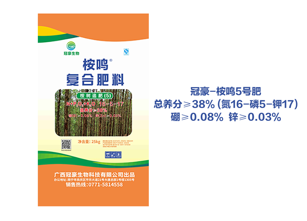 冠豪-桉鸣5号