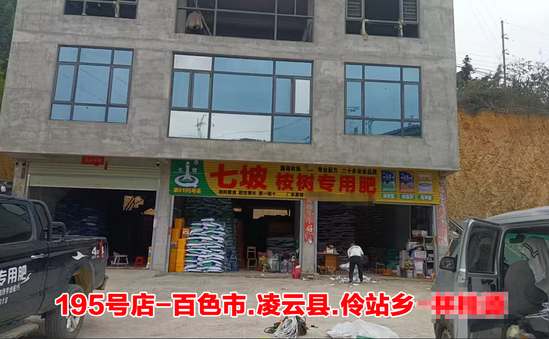 第0195号店-百色市.凌云县.伶站乡店
