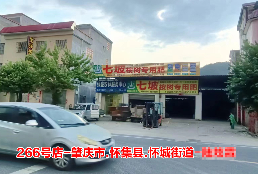 第0266号店-肇庆市.怀集县.中州镇店